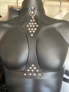 Studded Leather “H” Harness