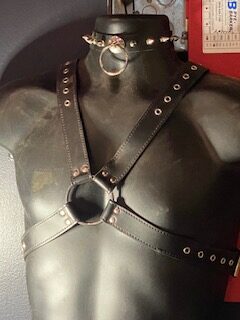 “X” Harness with spiked collar